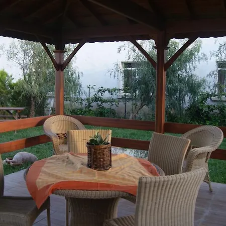 Ender (adults Only) 2*