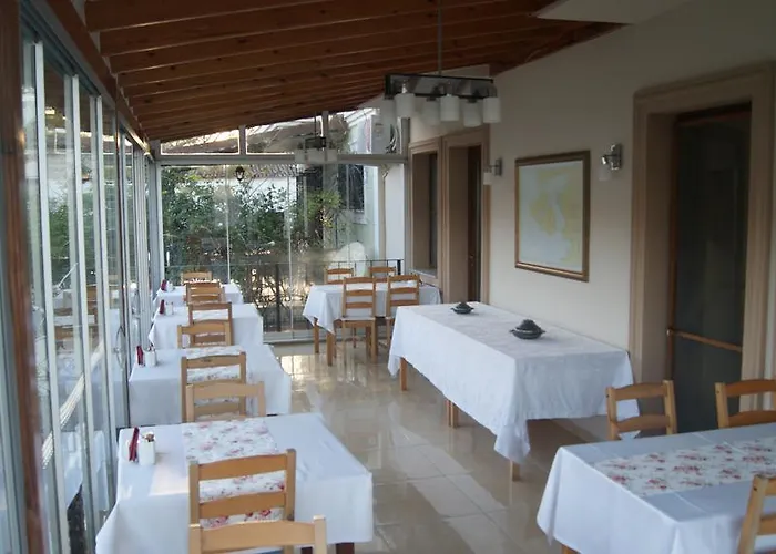 Ender (adults Only) 2*