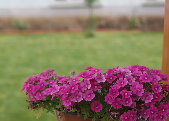 Ender (adults Only) Hotel 2*